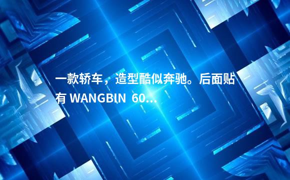 一款轿车，造型酷似奔驰。后面贴有 WANGBIN  600